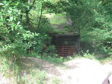 Zdjęcie 323
