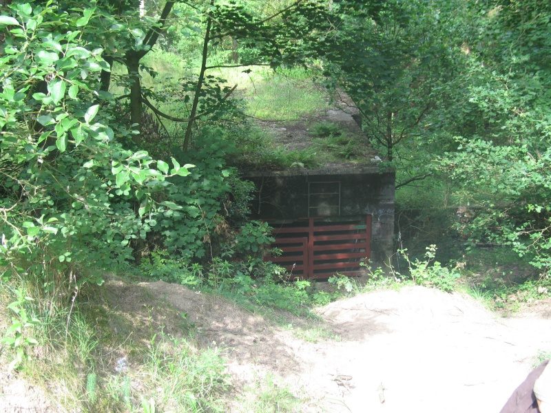 BugIn 2009 – zdjęcie 323