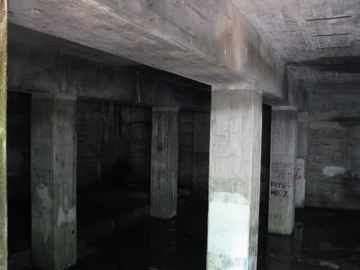 Zdjęcie 324