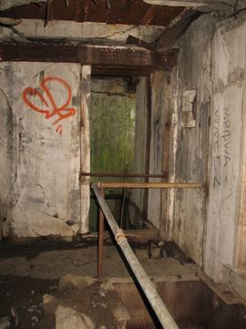 Zdjęcie 331
