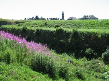 Zdjęcie 90