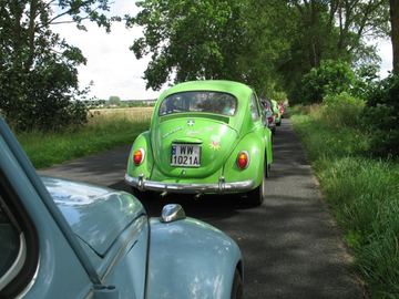 Zdjęcie 33