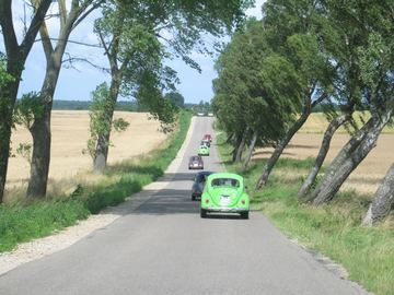 Zdjęcie 34