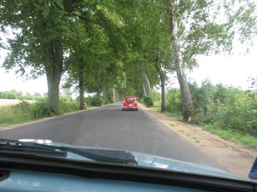 Zdjęcie 65