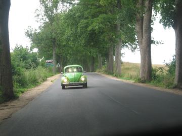 Zdjęcie 66