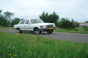 Zdjęcie 75
