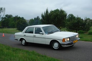 Zdjęcie 76