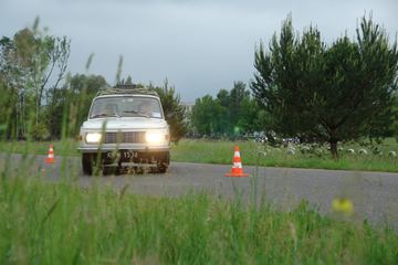 Zdjęcie 80