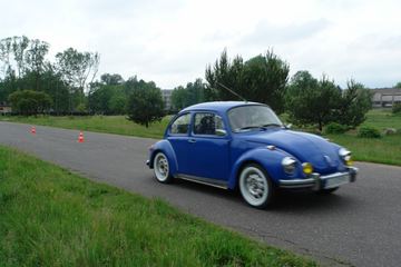 Zdjęcie 89