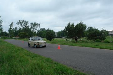 Zdjęcie 97
