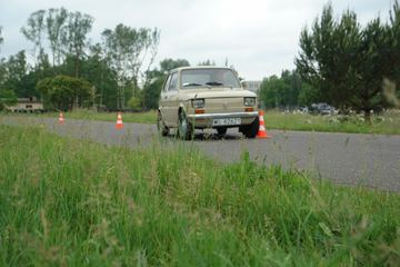 Zdjęcie 99
