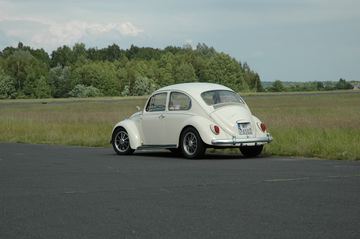 Zdjęcie 31