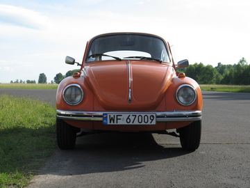 Zdjęcie 46