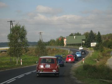 Zdjęcie 101