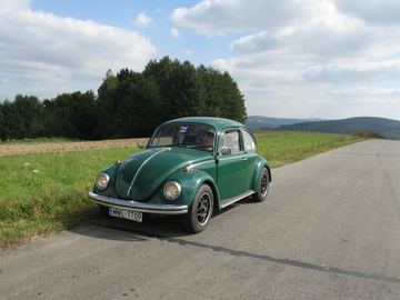 Zdjęcie 108