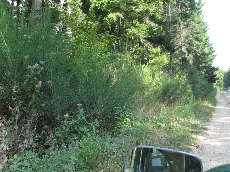 Kaczarnica 2009 – zdjęcie 119