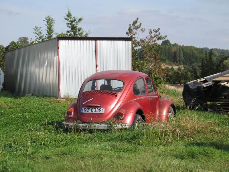 Kaczarnica 2009 – zdjęcie 124