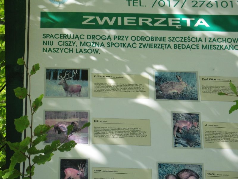 Kaczarnica 2009 – zdjęcie 125