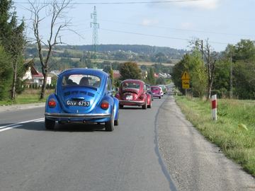 Zdjęcie 18