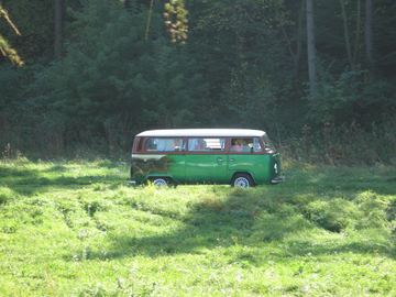 Zdjęcie 285