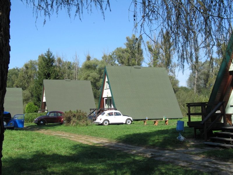 Kaczarnica 2009 – zdjęcie 286