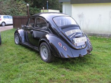 Zdjęcie 292
