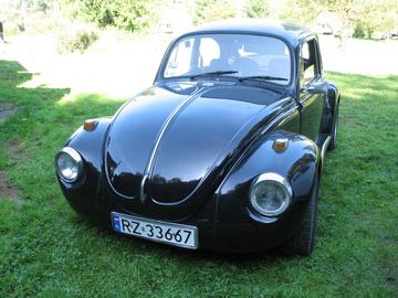 Zdjęcie 295