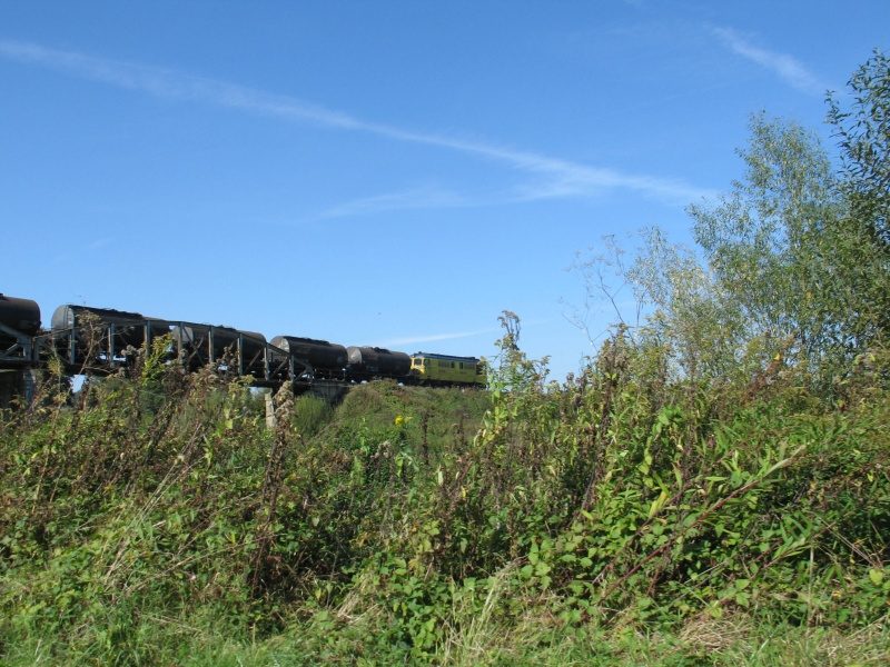 Kaczarnica 2009 – zdjęcie 296