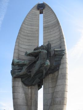 Zdjęcie 298
