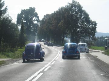 Zdjęcie 43