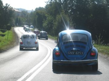 Zdjęcie 47
