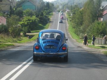 Zdjęcie 48
