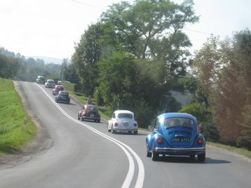 Zdjęcie 49