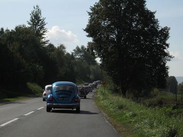 Zdjęcie 51