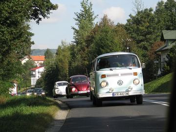 Zdjęcie 53