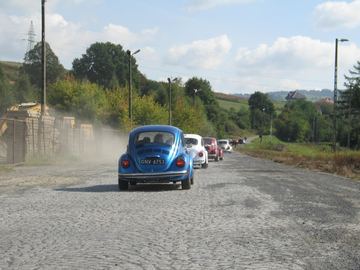 Zdjęcie 61