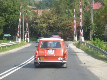 Zdjęcie 87