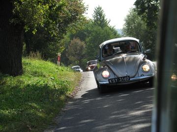 Zdjęcie 98