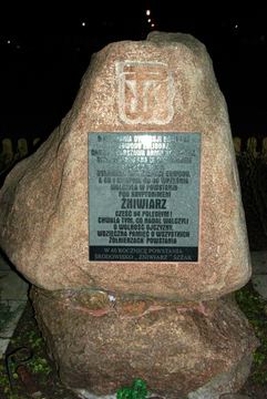 Zdjęcie 45