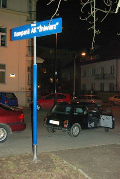 Zdjęcie 46