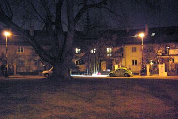 Zdjęcie 57