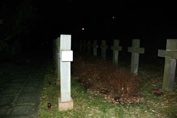 Zdjęcie 65