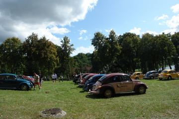 Zdjęcie 126