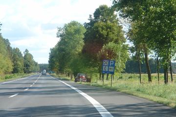 Zdjęcie 138