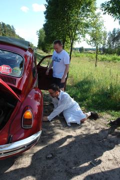 Zdjęcie 142