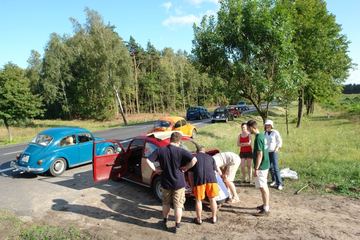 Zdjęcie 149