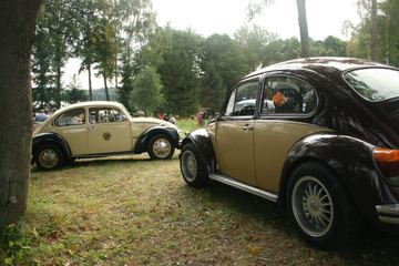 Zdjęcie 164