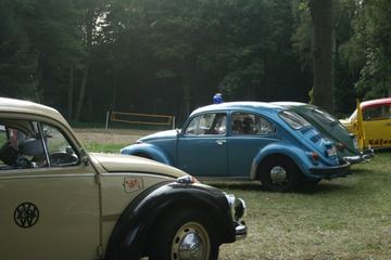 Zdjęcie 165
