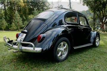 Zdjęcie 180