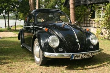 Zdjęcie 182